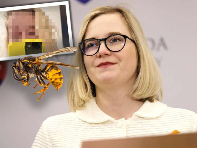 Bodnutie OSOU a náhly strach o život! Poslankyňa SaS skončila s vážne opuchnutou tvárou na URGENTE