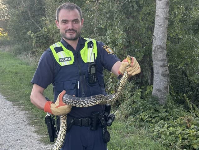 Šokovaná žena: Pri Dunaji objavila obrovskú anakondu! Nikto nevie, kde sa vzala