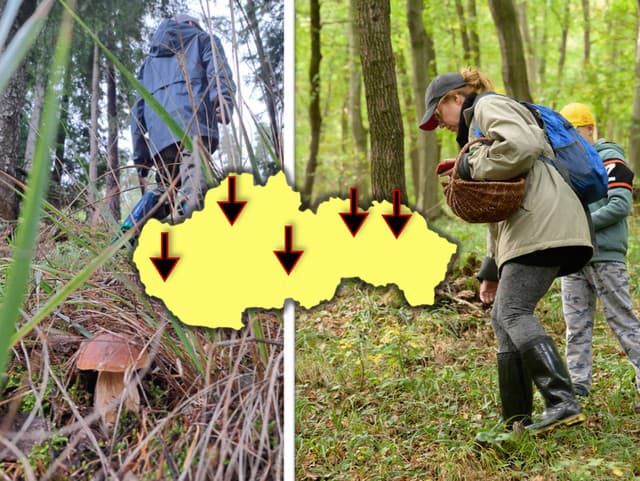 Hubári ukázali na najplodnejšie