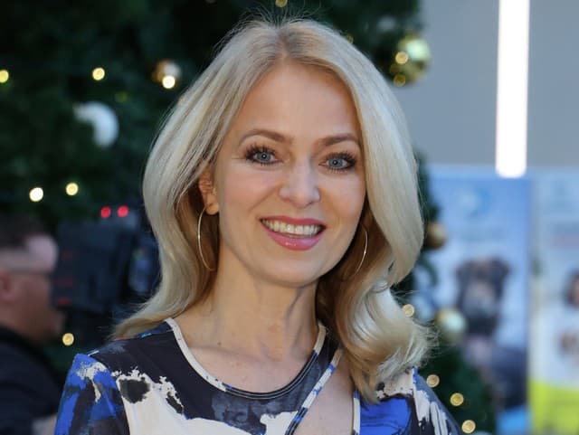 Módna prehliadka so psami.