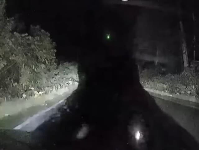 Medvedica zaútočila na auto.