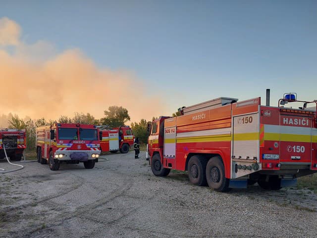 Požiar lesa v Dolnom