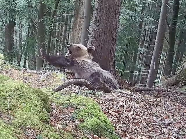 Unikátne VIDEO zo slovenskej