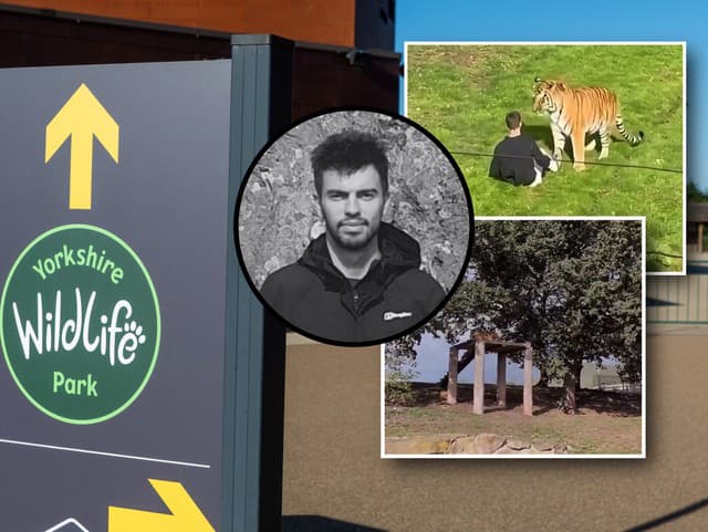 Nové DETAILY tragédie v zoo: Muž, ktorého zabil tiger, bol detským hercom! Pred tragédiou zverejnil VIDEO