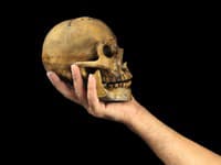 Máme to na tvári všetci, no je to len EVOLUČNÝ OMYL: Vedci zistili, že táto časť tela vznikla úplnou náhodou!