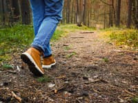 Koniec plynatosti a ťažoby: Odborníci radia vyskúšať TENTO TREND, ktorý ovládol sociálne siete! Výsledky sú okamžité