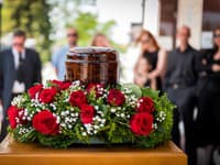 Najväčší TRAPAS ich života? Turisti si pomýlili KAR s reštauráciou a sadli si k stolu! TAKÚTO reakciu rodiny nečakali