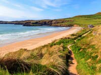 Na pláži našli niečo, čo pripomína TVORY Z INEJ planéty: Aj odborníci zostali po pozretí fotiek V POZORE! TO je čo?