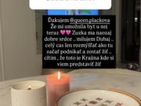 Laura Vizváryová odišla po rozchode s Borisom Kollárom do Dubaja. Útočisko jej ponúkla Zuzana Plačková. 