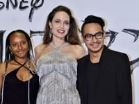 Zahara, Angelina, Maddox