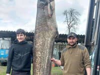 Vytiahol MONŠTRUM, aké sa len tak nevidí: Rybár Franz bojoval s 2,6-metrovým obrom, v jazere vraj číhajú ďalšie!