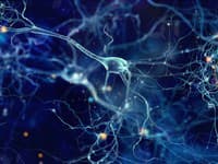 NASA v šoku: Teleskop Jamesa Webba odfotil vo vesmíre obrovský ľudský mozog, jeho detaily sú mrazivé!