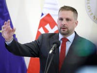 Vláda súhlasí s odmietnutím revízie medzinárodných zdravotníckych predpisov