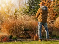 Zlatý poklad vo vašej záhrade: TOTO v žiadnom prípade nedávajte do koša, má to cenu zlata!