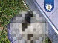 To ČO sa našlo pri garážach? Policajti riešili prípad, s akým sa bežne nestretávajú ani tí NAJSKÚSENEJŠÍ!