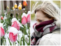 Beštia z východu sa môže vrátiť do Európy: Hrozí výrazné ochladenie! Tento scenár nie je jediný, ktorý sa črtá