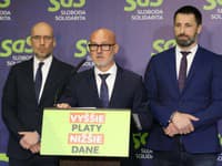 Podľa strany SaS unikli osobné údaje z energopomoci: Saková by mala vyvodiť zodpovednosť