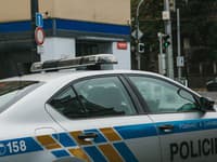 Bizarný prípad: Mladá žena sa pred príchodom polície vyzliekla DONAHA: To, čo nasledovalo, bolo poriadne divoké