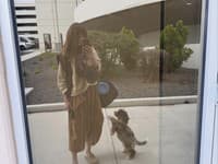 Jojkárska moderátorka Alexandra Orviská si zaobstarala nového člena rodiny. 