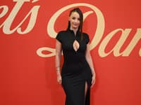 Červený koberec 7. kola Let's Dance