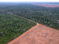 Satelity odhalili v Amazónii TAJOMNÚ SIEŤ ciest: Nevedú k mestám, ale majú prepájať náš svet s RÍŠOU DUCHOV!