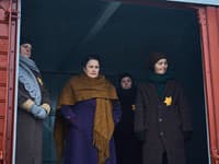 Dunaj, k vašim službám/ Petra Polnišová