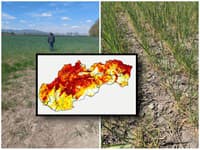 Slovensko zasiahlo extrémne SUCHO: FOTO Poľnohospodárom ostávajú oči pre plač, ľudia strácajú vodu v studniach