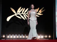 Demi Moore v Cannes