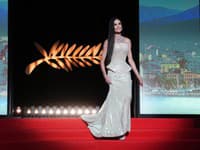 Demi Moore v Cannes