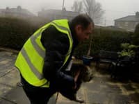 ŠOKUJÚCE Kuriér doručil balík a potom...Neuveriteľné, TOTO ukradol priamo spred dverí! Odhalila ho kamera