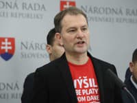Hnutie Slovensko predstavilo ďalšiu otázku: Týka sa portálu k výdavkom štátu