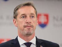 Stopka pre referendum o predčasných voľbách: KDH ústavnú novelu Hlasu nepodporí