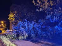V Prešove riešili dobrovoľní hasiči mesta popadané stromy v dôsledku počasia