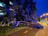 V Prešove riešili dobrovoľní hasiči mesta popadané stromy v dôsledku počasia