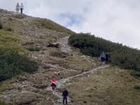 Mrazivé zábery z Tatier: Turisti kráčali po chodníku, zrazu im medveď prebehol tesne poza chrbty!