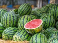 Bývalá predavačka varuje: TAKÝTO melón v obchode nekupujte! Je to riziko