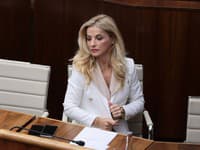 Šimkovičová zasahuje do voľby šéfa FPU: Žiada novú výzvu! Odvolaní členovia spomínajú odpočúvanie