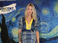Výstava Vincenta Van Gogha, Mirka Luberdová