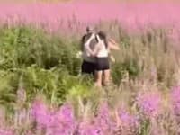 Po ničení pola pod Tatrami a kúpaní v plese tu máme ďalší nešvár! Drzosť bez hraníc: Dvojica kvôli fotke vošla do...