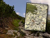 Turistom sa v Tatrách naskytol VÝNIMOČNÝ pohľad: VIDEO Toto sa už nemusí nikdy zopakovať!