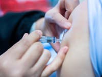 Lekári bijú na poplach pred novou sezónou: Vládu vyzývajú na urýchlené očkovanie zraniteľných