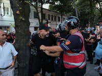 Protest pred albánskym parlamentom. 