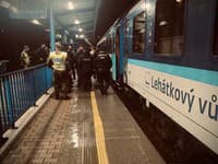Slovenskí a českí policajti počas kontroly nelegálnej migrácie pod taktovkou akcie Podzim. 