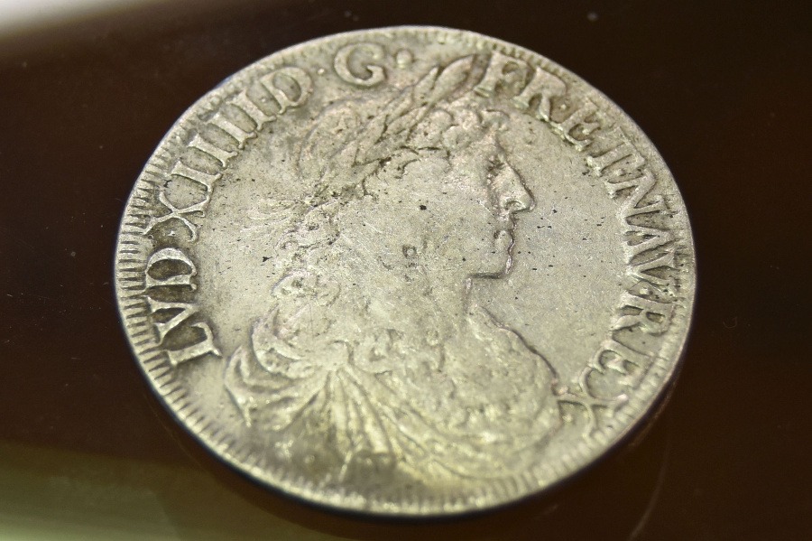 Strieborná minca s vyobrazením