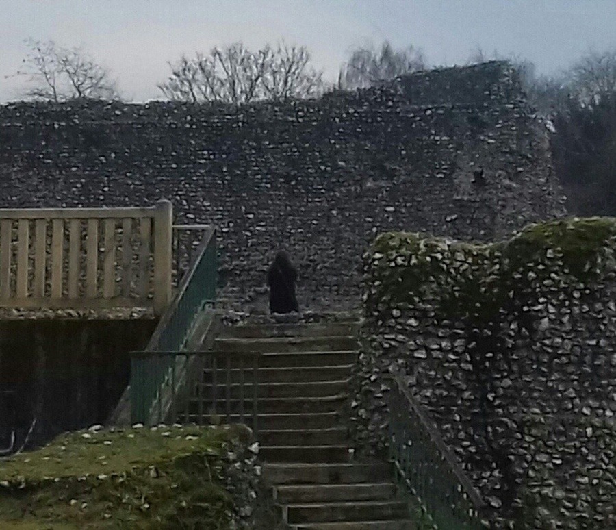 Granny mysterious castle. Настоящий замок с привидениями. Замок в долине призраков. Замок привидений настоящий в России. Комедии про призраков в замках средневековья.