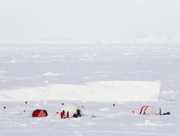 Antarktíde hrozí katastrofa: Vedci