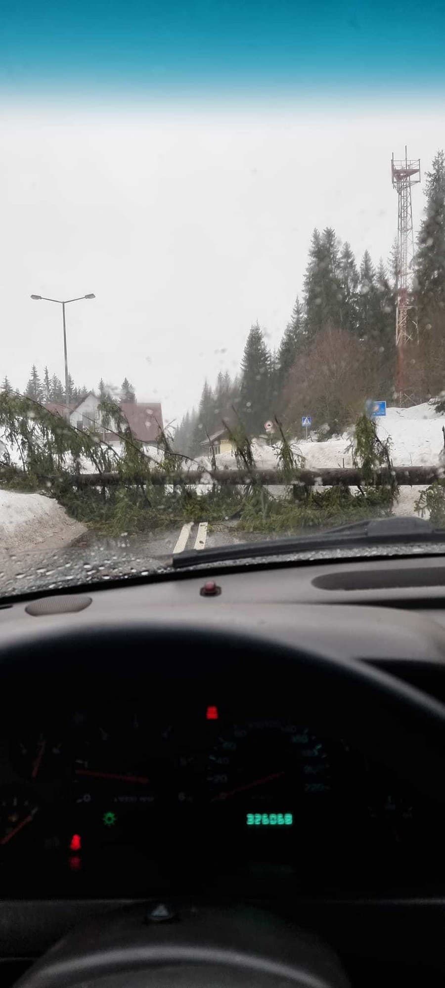 Spadnutý strom na hraničnom priechode Novoť.