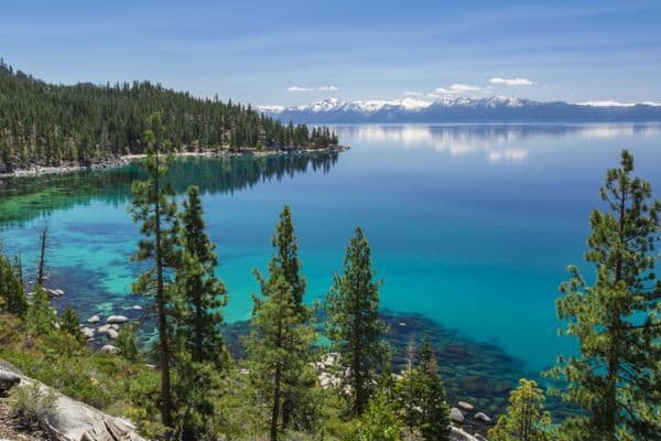 FOTO Obyvateľov terorizuje obrovský