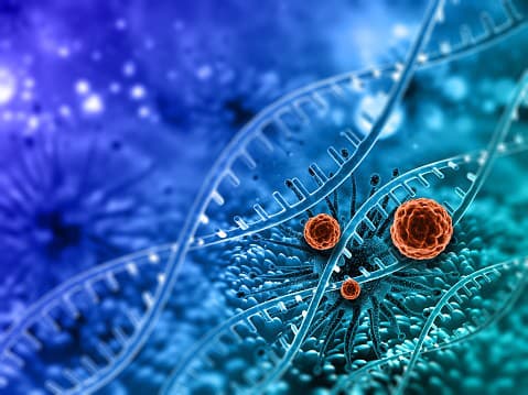 RNA a bunky koronavírusu