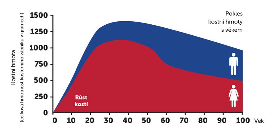 Vitamín K2 – nový